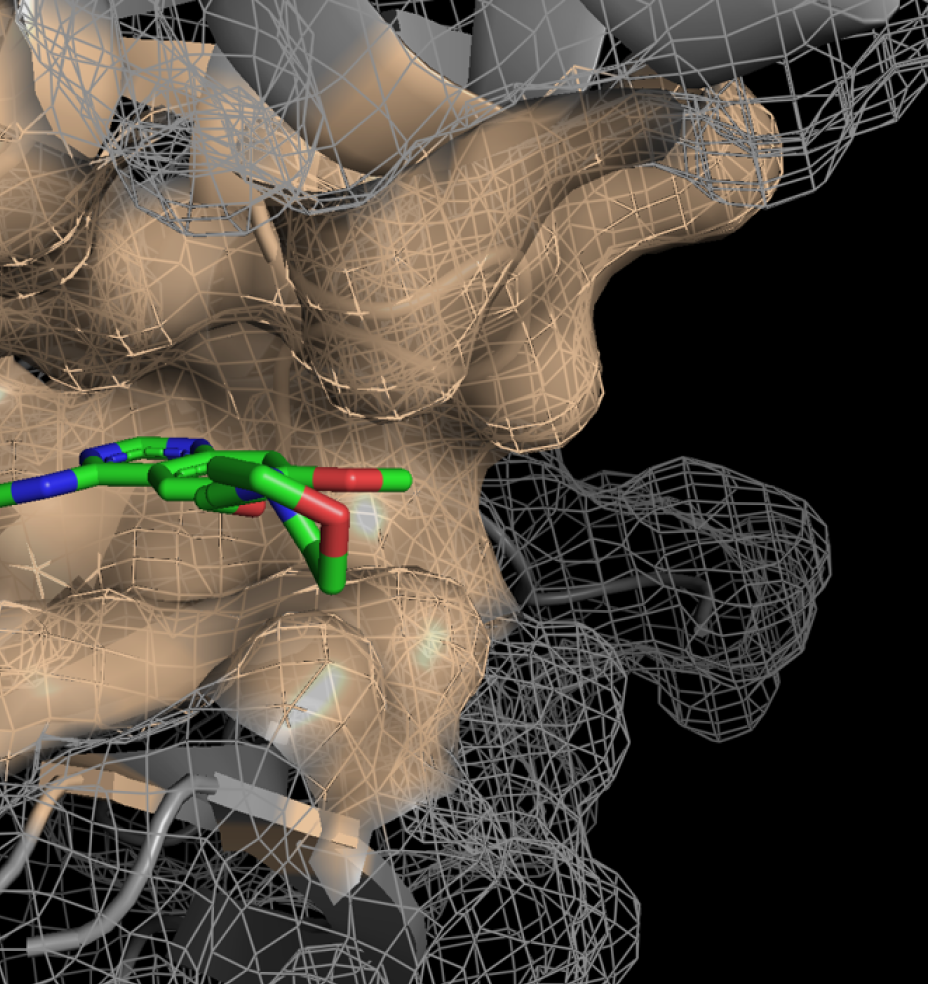 Small molecule drug discovery