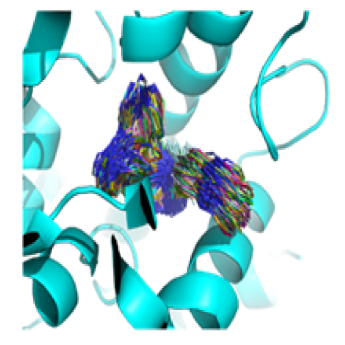 MD-simulation, Strain & Binding Free Energy