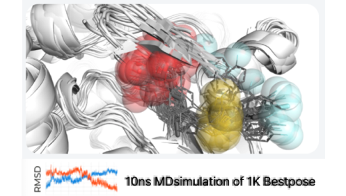 Auto-MD Simulation