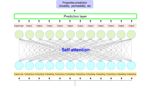 BERT – ADMET/PK screening