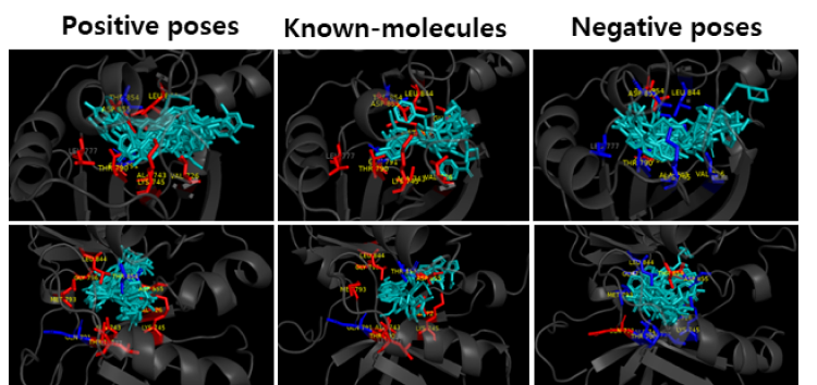 Figure 6.  Comparison of AI-hit positive andnegative predictions with known Molecules.