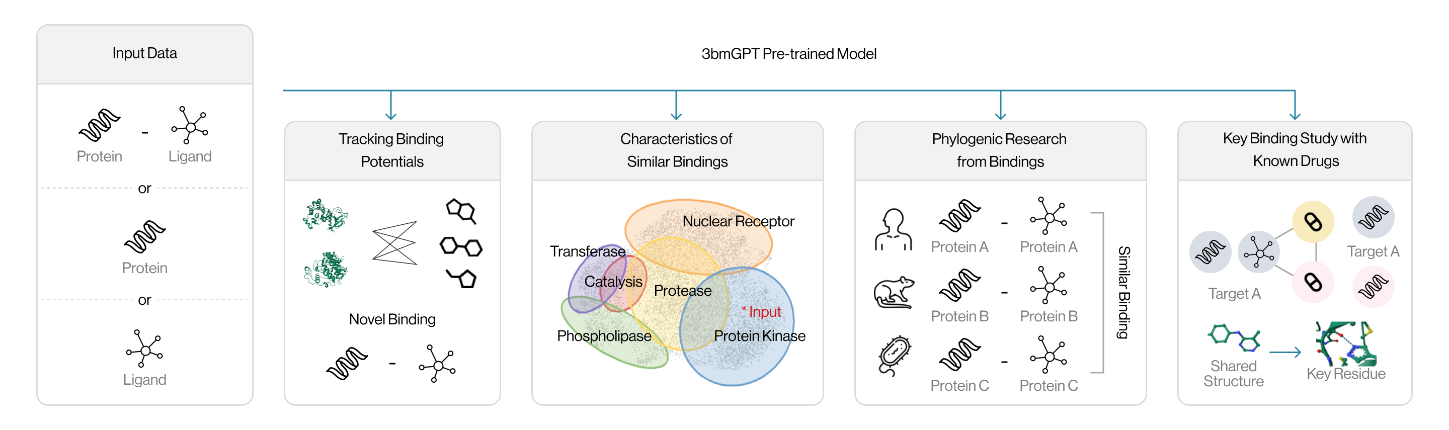 Utilizing the AI Model in Research